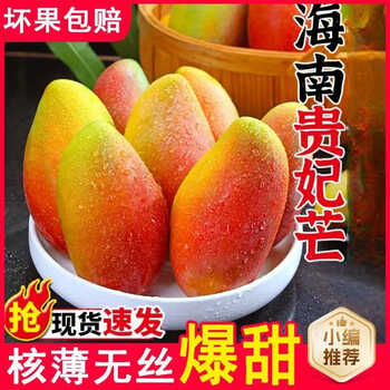玖原农珍 海南贵妃芒果含箱9斤净果8.5斤优选甜心芒果 现摘生鲜水果