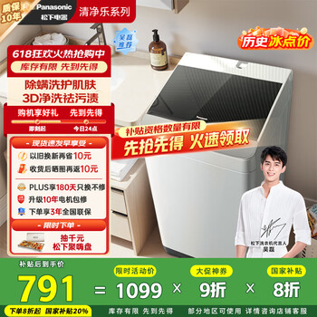 松下 Panasonic XQB100-TSWTS 定频波轮洗衣机 10kg 灰色