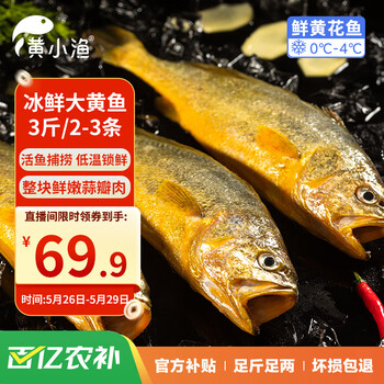 黄小渔【冰鲜】宁德黄花鱼净重3斤/2-3条大黄鱼 海鲜水产生鲜源头直发