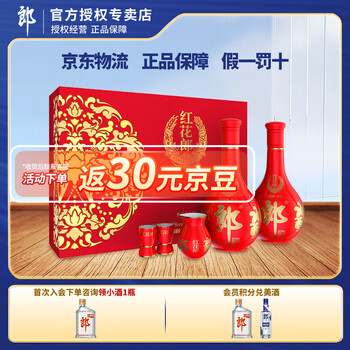 郎酒 红花郎十(10)酱香典范 53度 500mL 酱香型白酒(含礼品袋) 53度 500mL 2瓶 礼盒装