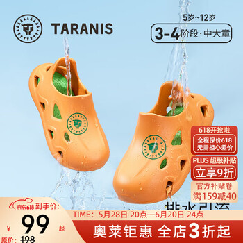 泰兰尼斯 夏季儿童洞洞鞋