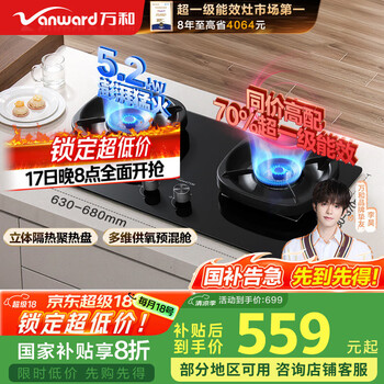 万和 燃气灶5.0kW大火力嵌入式台式两用灶具 家用双灶