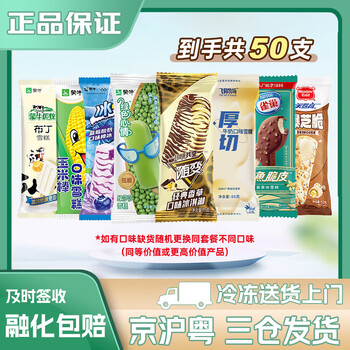 蒙牛飞鹤牧场【50支大牌雪糕套餐】 随变 飞鱼 优牧布丁 雪糕 冷饮 【50支】家庭套餐