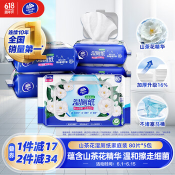 维达 湿厕纸 80片*5包