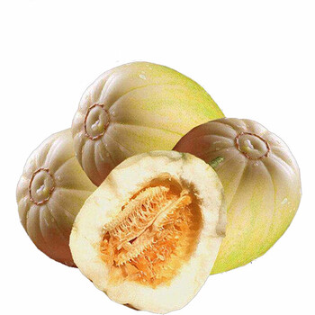 顺丰 东北白糖罐香瓜 2kg 新鲜脆甜多汁京蜜甜瓜