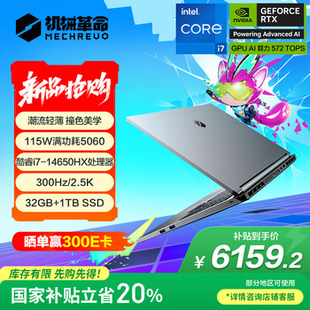 国家补贴：机械革命 极光X 潮玩版 笔记本电脑（i7-14650HX 32G 1T RTX5060 2.5K屏 300Hz 灰）