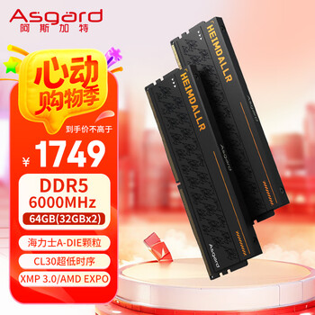 阿斯加特(Asgard)64GB(32GBx2) DDR5 6000 台式机内存条 海姆达尔 马甲条 海力士A-die CL30 黑厚甲