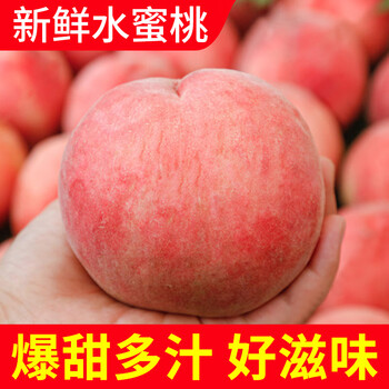 飘香果度山西新鲜水蜜桃脆桃毛桃子水果 时令应季水蜜桃 生鲜整箱 净重4.5斤装【单果100g】