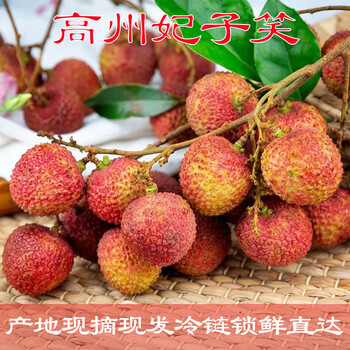 好心岭南 广东高州妃子笑荔枝 | 单果18g+ | 净重4.5斤