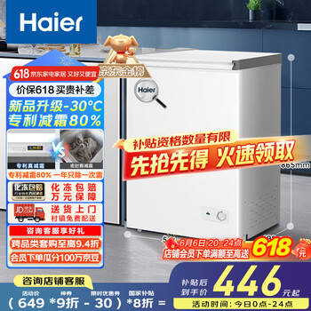 海尔 Haier 100升一级能效低霜小冰柜 BC/BD-100GHW9D