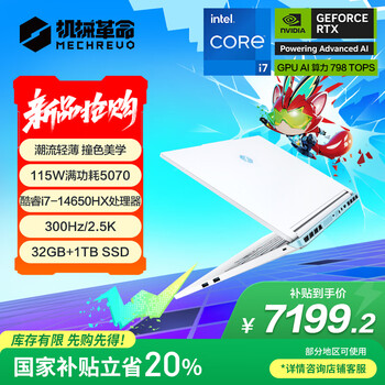 机械革命极光X 潮玩版 酷睿i7HX 游戏本笔记本电脑(i7-14650HX 32G 1T RTX5070 2.5K屏 300Hz 白)