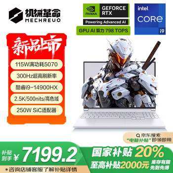 机械革命极光X(酷睿i9-14900HX RTX5070 32GB 1TB)