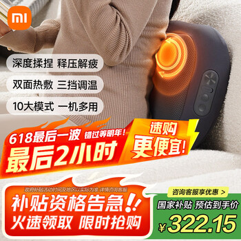 米家 MIJIA 智能腰部按摩器 MJYBAMY01YMYY