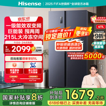 海信 Hisense 鲜域系列 BCD-611WFK1DPQ 风冷对开门冰箱 611L 星辰黑