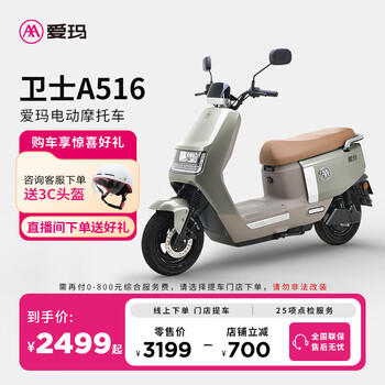 爱玛(AIMA)【门店自提】卫士铅酸长续航大动力大电池外卖时尚成人高速电动摩托车 到店选色提车