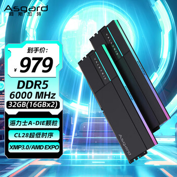 阿斯加特 32GB(16GBx2) DDR5 6000 台式机内存条 女武神·瓦尔基里II代 RGB灯条 海力士A-die CL28 极夜黑