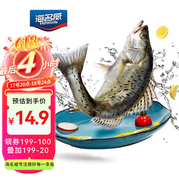 PLUS会员：海名威 鲜蒸海鲈鱼 450g