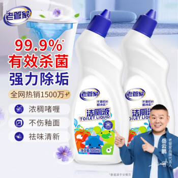 老管家洁厕剂洁厕灵卫生间马桶清洁剂洁厕液除垢洗厕除臭去味剂500ml/瓶 2瓶装