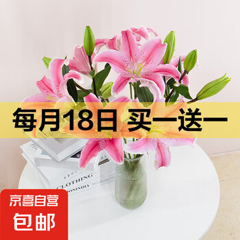 【香水百合】供佛鲜花云南直发鲜切花水养插花白黄粉色女神节礼物 粉色百合5苞 优质百合