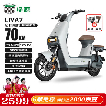 绿源 新国标电动自行车LIVA7豪华版续航80公里