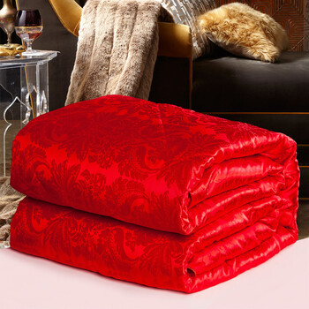 蚕丝被100%桑蚕丝冬被双人全棉被芯冬季春秋被8斤加厚 提花红色 220