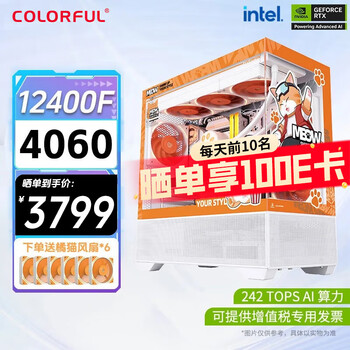 七彩虹橘猫RTX4060 5060Ti 5070 Ti主机台式diy组装电脑电竞游戏整机 配四:12400F+RTX4060橘猫主机