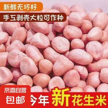 粉皮花生 花生米 带壳花生生花生农家自产熬粥煲汤五谷杂粮 生花生米450g