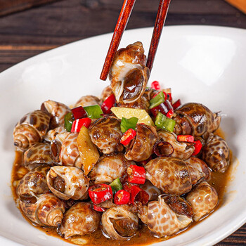 香辣花螺500g海鲜水产半成品新鲜冷冻食材麻辣大花螺捞汁即食凉菜