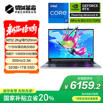机械革命极光X 潮玩版 酷睿i7HX 游戏本笔记本电脑(i7-14650HX 32G 1T RTX5060 2.5K屏 300Hz 灰)