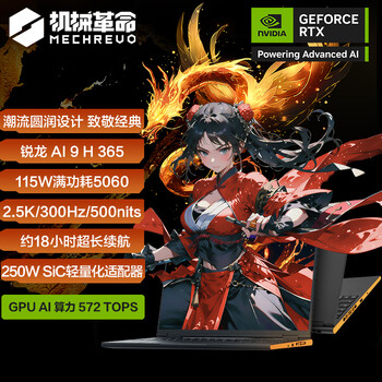 机械革命翼龙16X 16英寸 游戏笔记本电脑(AI 9 H365 32G 1T RTX5060 2.5K 300HZ 黑)