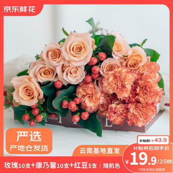 PLUS会员：京东鲜花 玫瑰10支+康乃馨10支+红豆5支 共25支组合鲜花花束