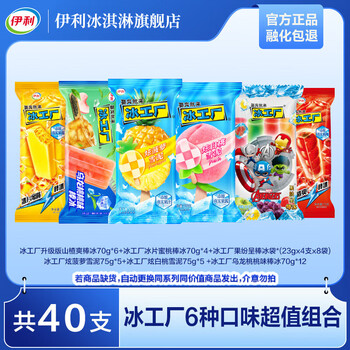 伊利 冰工厂 夏季超值组合6种口味 共40支（3026g）