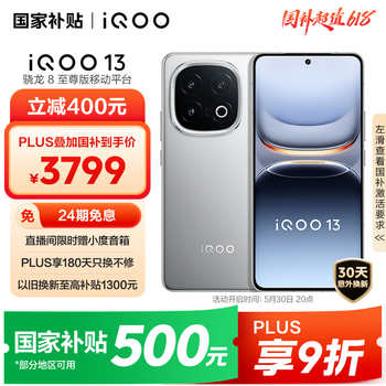 vivo iQOO 13 【国家补贴】16GB+1TB 纳多灰 骁龙8至尊版 2K护眼屏 120W快充长续航 5G电竞手机