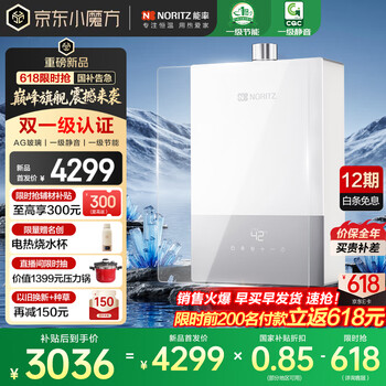 国家补贴、PLUS会员：能率 小云朵UP 16升燃气热水器 16EX33AFEX