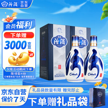 汾酒 青花20 42%vol 清香型白酒 500ml*2瓶