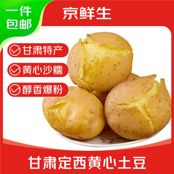 京鲜生 2026甘肃定西土豆净重5斤 单果100g+ 早餐 马铃薯洋芋 源头直发