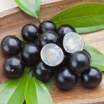 【顺丰空运】嘉宝果新鲜水果 加宝果 鲜果现摘孕妇罕见稀有水果当季多