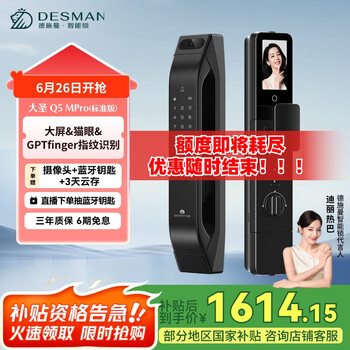 国家补贴：德施曼 大圣 Q5 MPro（标准版）