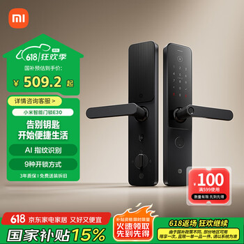小米 Xiaomi XMZNMST10LK 智能门锁 E30