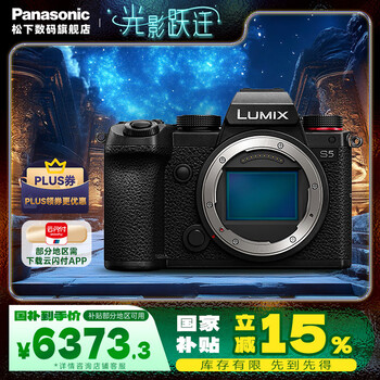 松下(Panasonic)S5微单相机 全画幅单电/无反数码相机 L卡口(双原生ISO) S5【单机身】