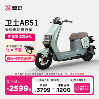 爱玛 卫士AB51 长续航电动自行车 TDR8106Z