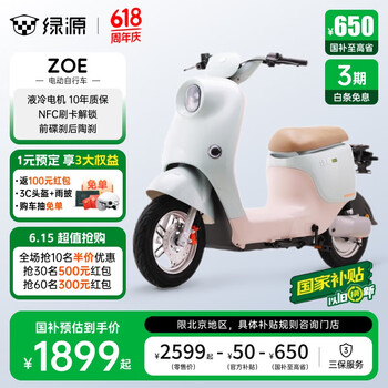绿源 ZOE  新国标电动自行车可上牌 代步电瓶车 到门店选颜色（无需驾照）