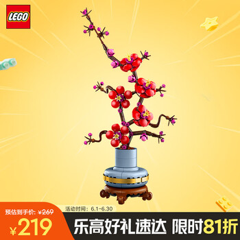 乐高 LEGO 植花系列 10369 傲骨梅