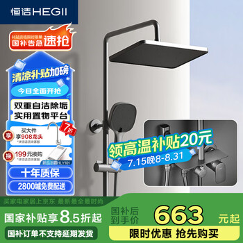 恒洁(HEGII)淋浴花洒套装 铜合金主体智能自动除垢花洒全套HMF951-333B-SH