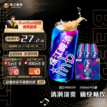 珠江啤酒 inb啤酒 500ml*12罐