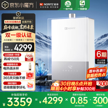 国家补贴：能率 16升燃气热水器  16EX33AFEX