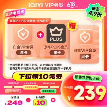爱奇艺 白金会员13个月+京东PLUS年卡 支持电视端