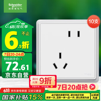 施耐德电气 智意系列 A3E426N_10FSA 斜五孔插座 白色 十只装