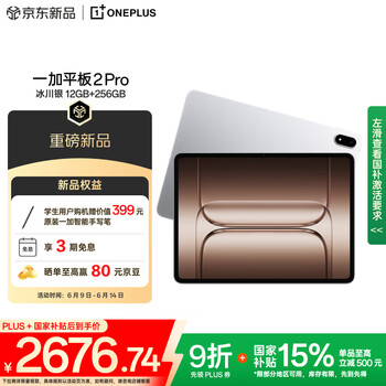 一加 OnePlus 平板 2 Pro13.2英寸平板电脑 骁龙8至尊版芯片 12GB+256GB 冰川银