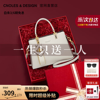 蔻一（Cnoles）包包女款2025年新款手提包女士斜挎包奢品高级感生日礼物送女朋友
